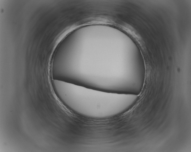 X0000087691423200705040810