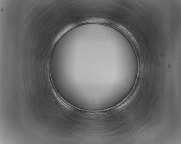 X0000087691425200705040810