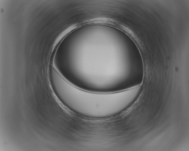 X0000087691426200705040810