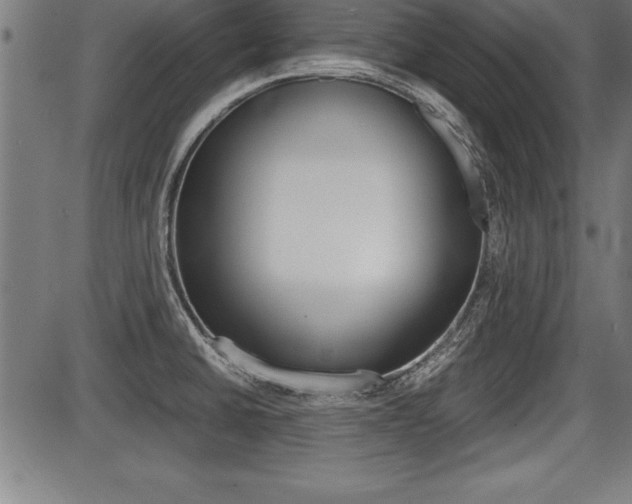 X0000087691430200705040810