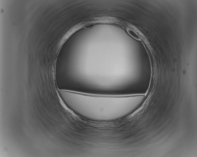 X0000087691433200705040810