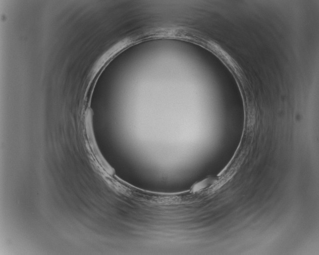 X0000087691434200705040810