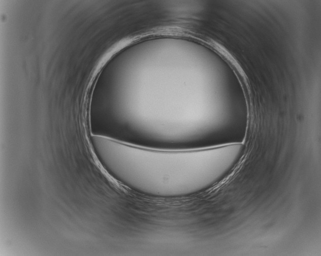 X0000087691437200705040810