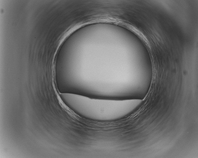 X0000087691439200705040810