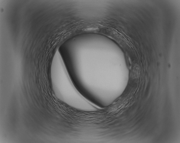 X0000087691441200705040809