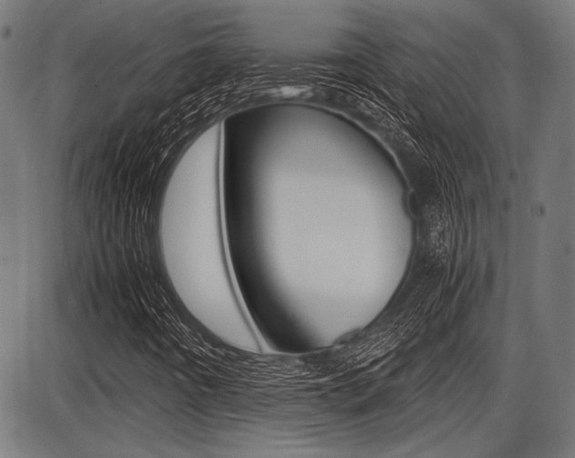 X0000087691442200705040809