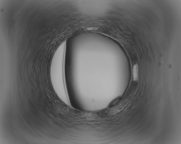X0000087691443200705040809