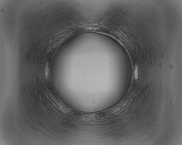 X0000087691444200705040809