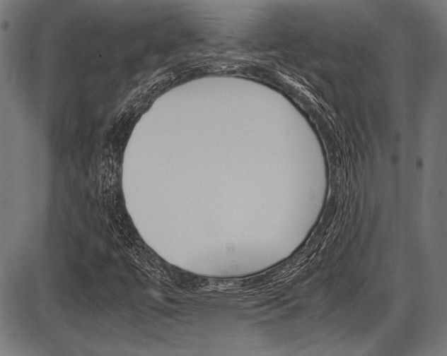 X0000087691447200705040809