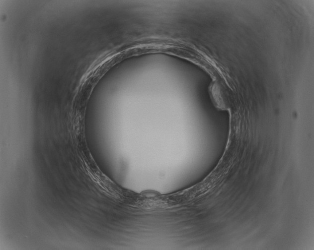 X0000087691448200705040809