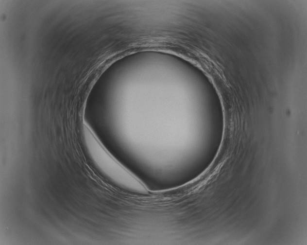 X0000087691449200705040809
