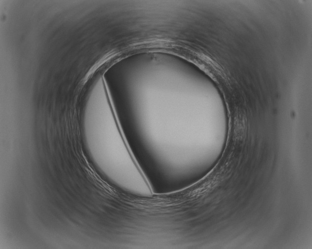 X0000087691450200705040809