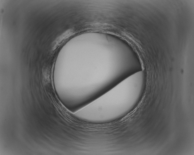 X0000087691451200705040809