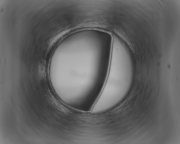 X0000087691452200705040809
