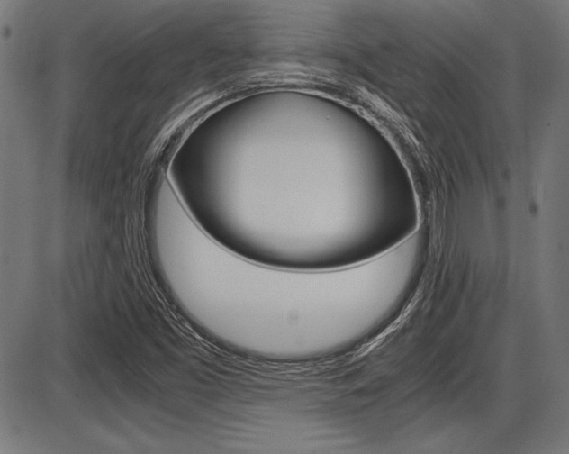 X0000087691453200705040809