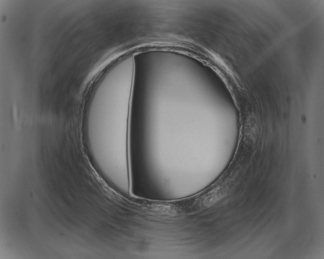 X0000087691456200705040809