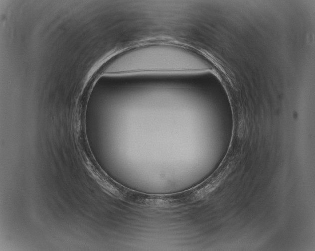 X0000087691458200705040809