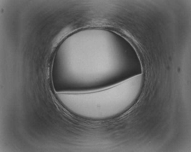 X0000087691459200705040809