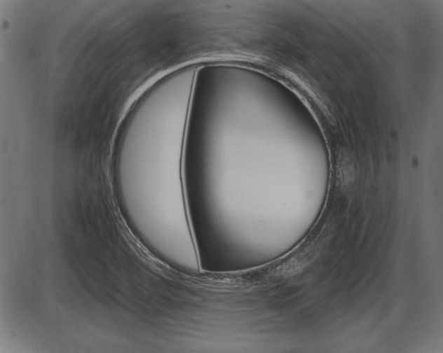X0000087691460200705040809