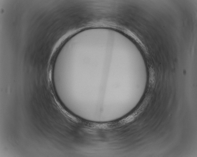 X0000087691462200705040809