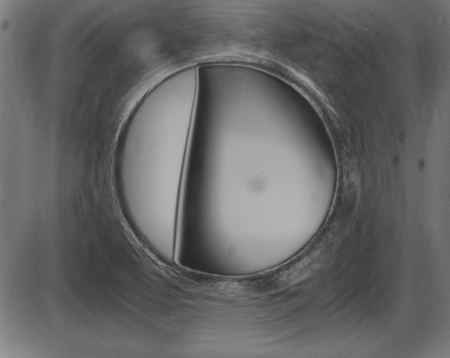 X0000087691463200705040809