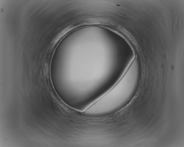 X0000087691465200705040809