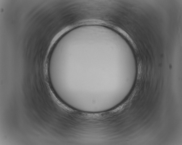 X0000087691466200705040809