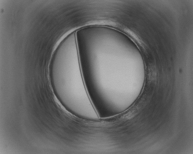 X0000087691468200705040809