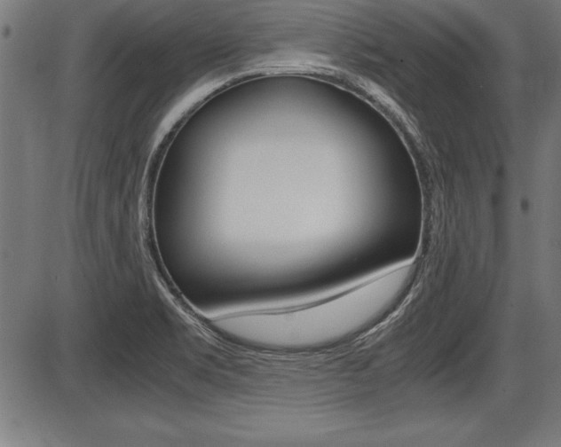X0000087691469200705040809