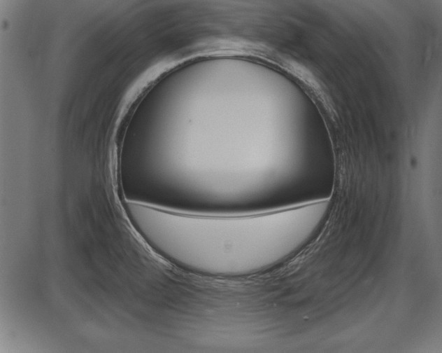 X0000087691472200705040809