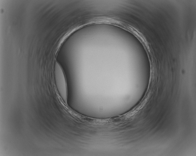 X0000087691481200705040809