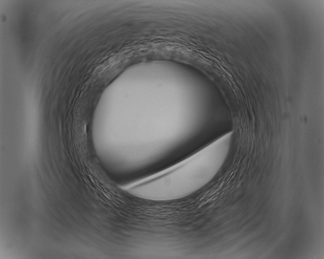 X0000087691489200705040808