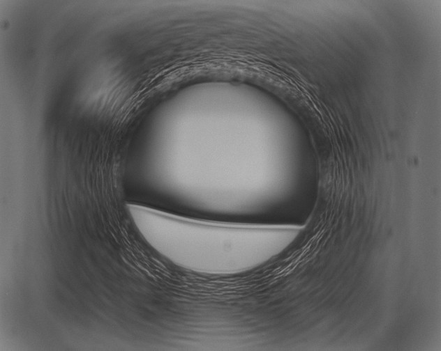 X0000087691490200705040808