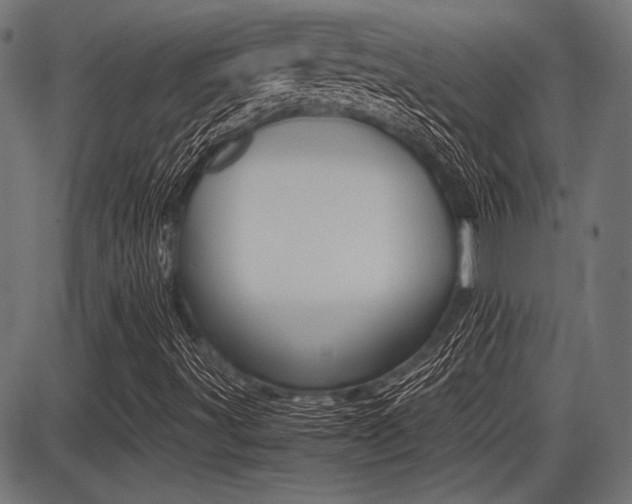 X0000087691491200705040808