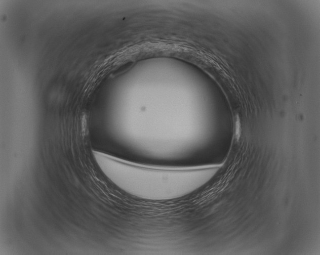 X0000087691492200705040808