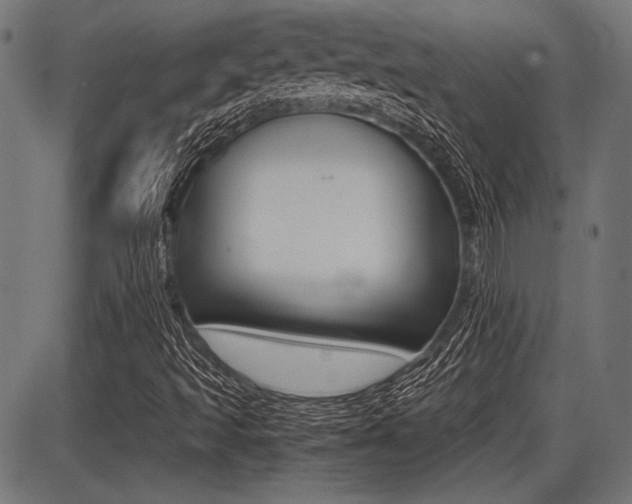 X0000087691493200705040808