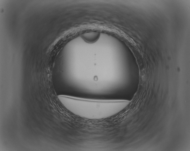 X0000087691495200705040808