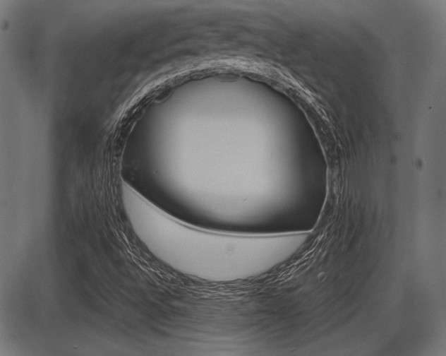 X0000087691496200705040808
