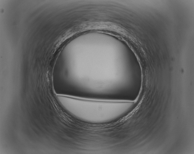 X0000087691497200705040808