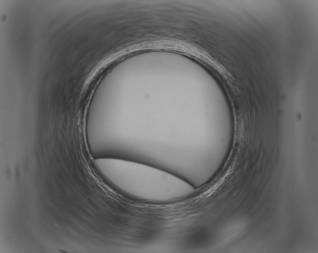X0000087691498200705040808