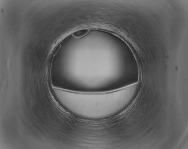 X0000087691500200705040808