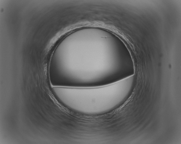X0000087691503200705040808
