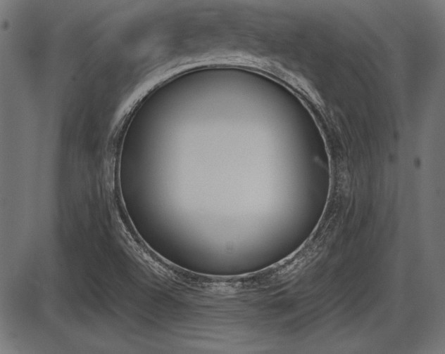 X0000087691504200705040808