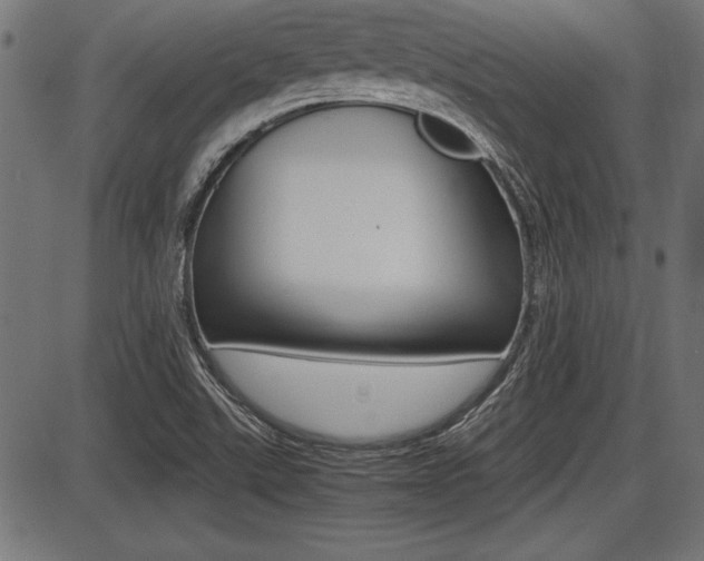 X0000087691507200705040808