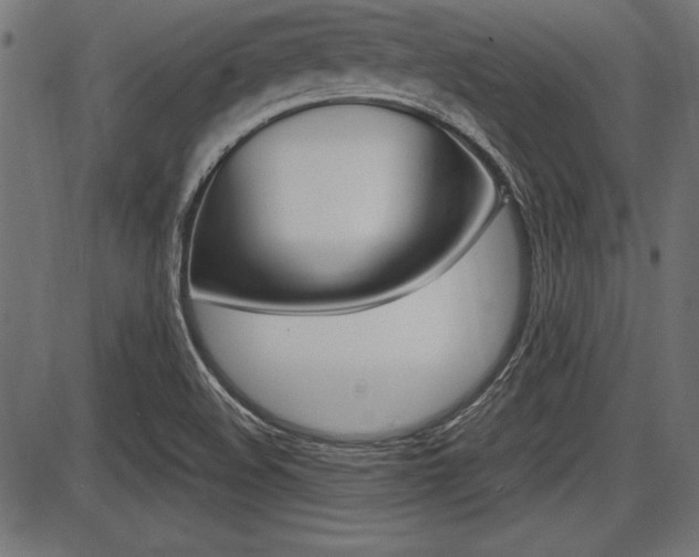 X0000087691508200705040808