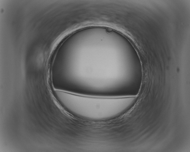 X0000087691511200705040808