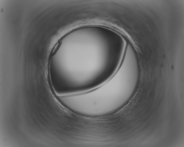 X0000087691512200705040808