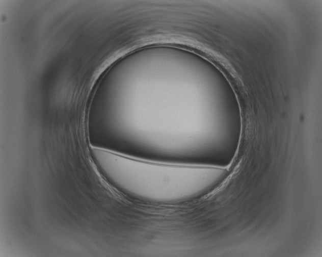 X0000087691513200705040808