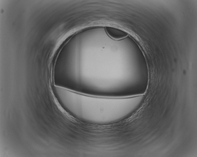 X0000087691515200705040808