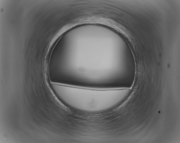 X0000087691517200705040808